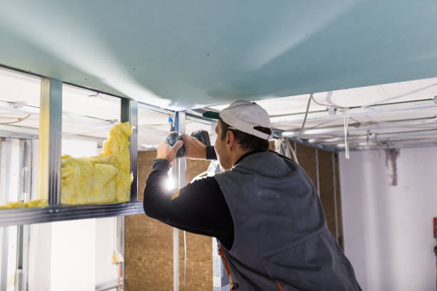 Best Specialized Insulation Services in Burnham, PA
