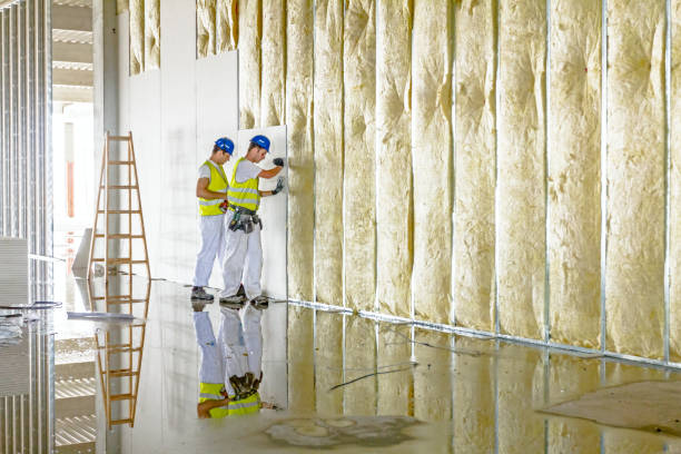 Best Blown-in Insulation in Burnham, PA